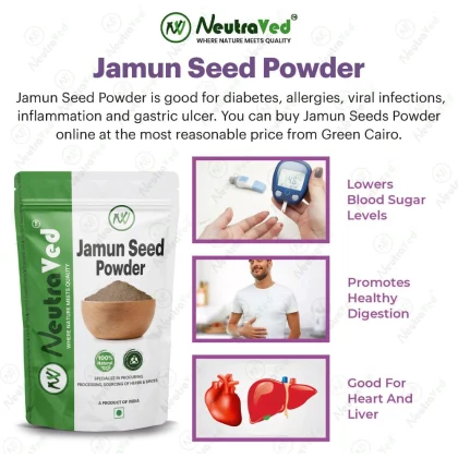 Neem Karela Jamun Powder  image 2